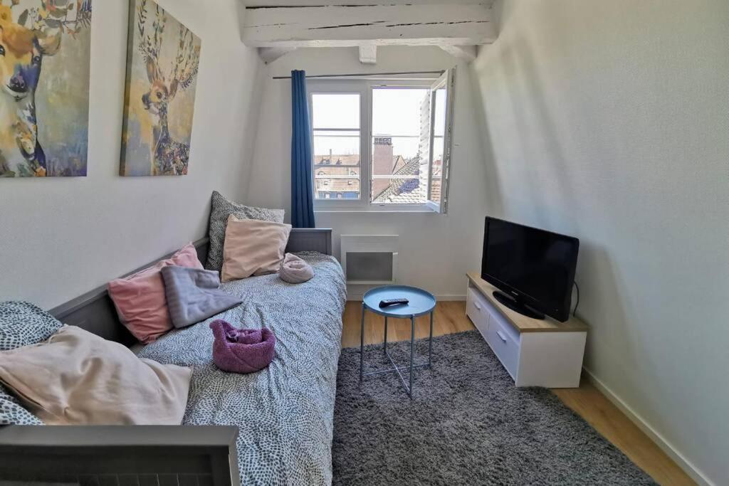 ** Appartement Cathedrale Strasbourg Centre** ภายนอก รูปภาพ